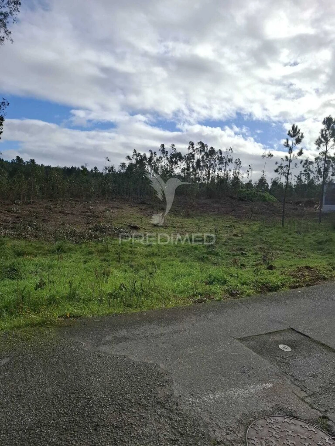 Terreno para Venda em Pedroso e Seixezelo Foto 14