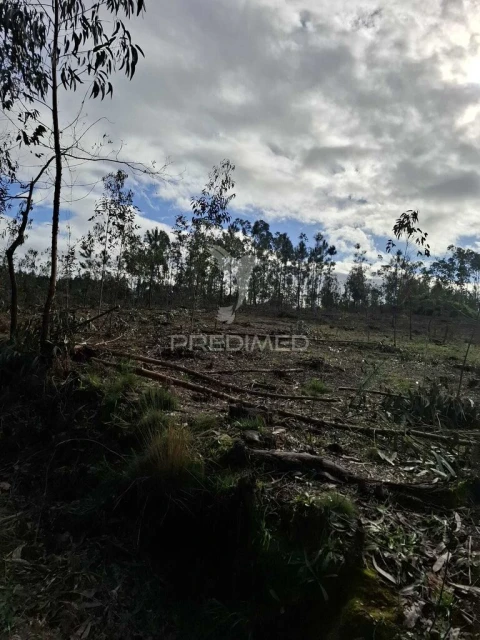Terreno para Venda em Pedroso e Seixezelo