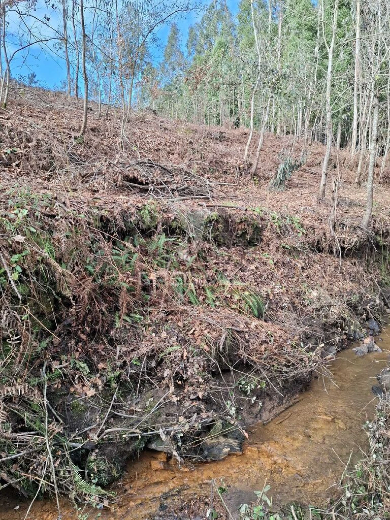 Terreno para Venda em Pedroso e Seixezelo Foto 1