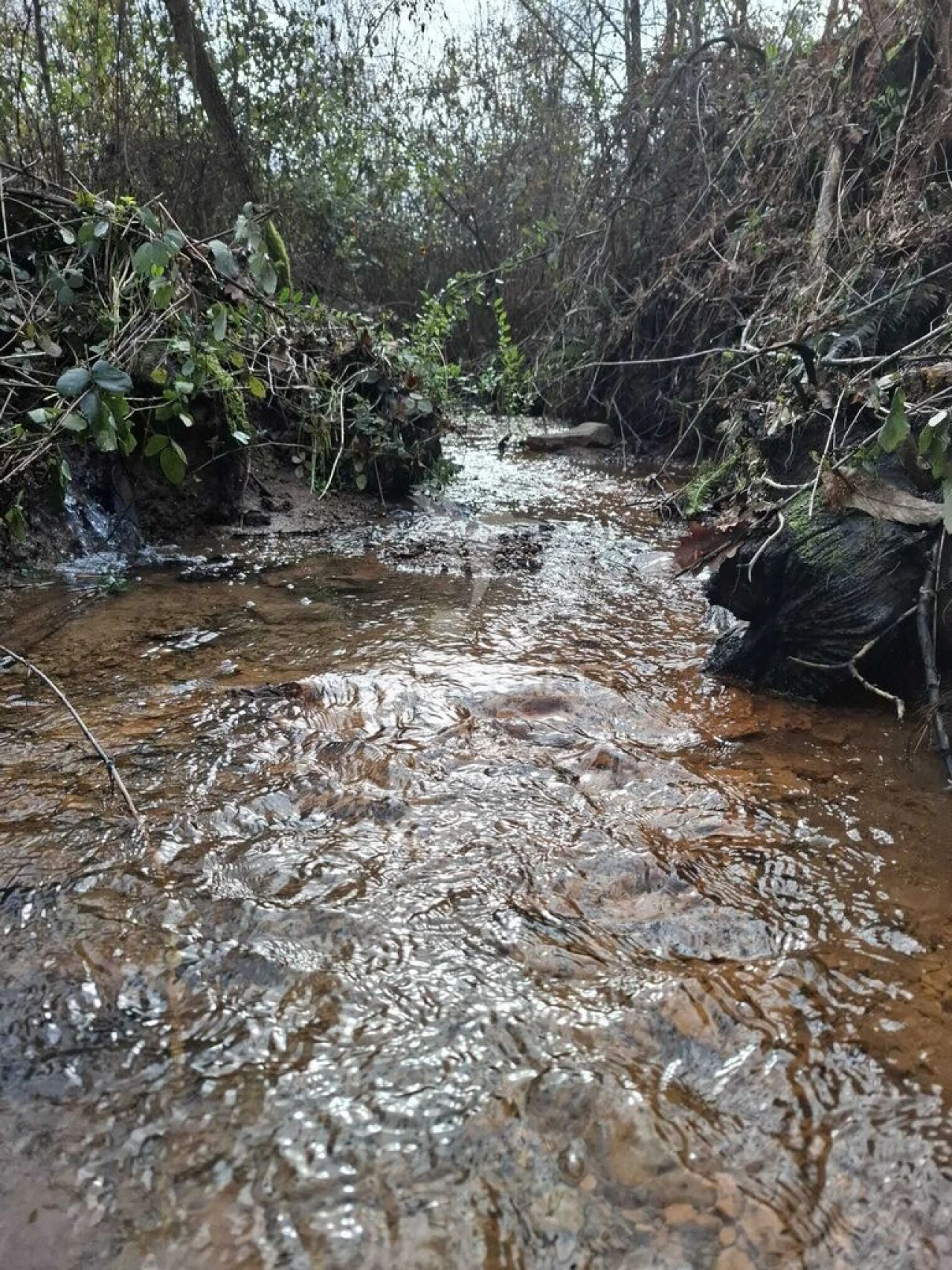 Terreno para Venda em Pedroso e Seixezelo Foto 3