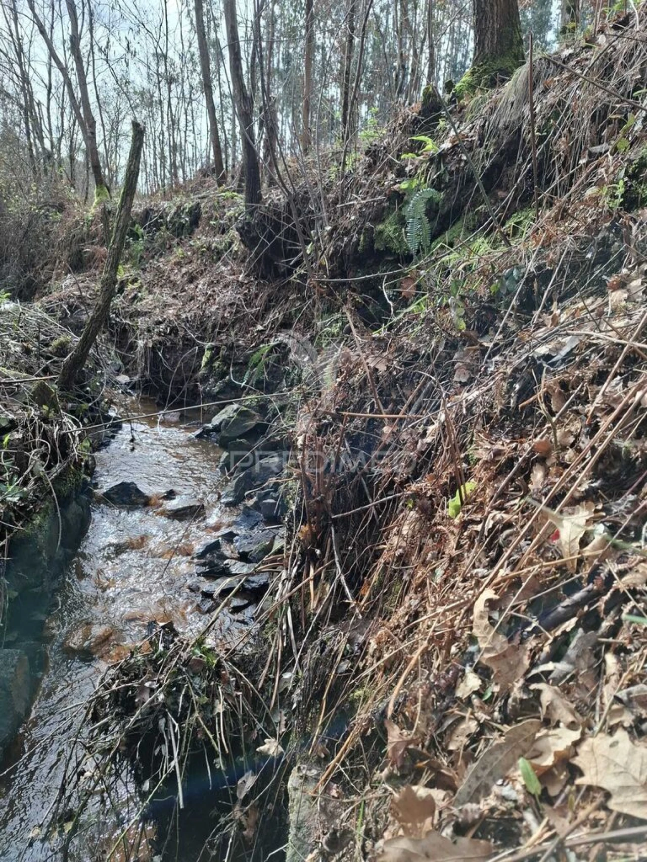 Terreno para Venda em Pedroso e Seixezelo Foto 4
