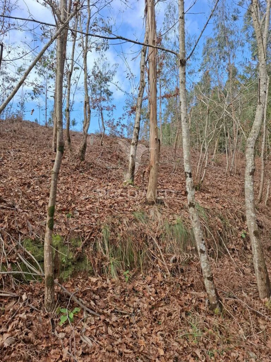 Terreno para Venda em Pedroso e Seixezelo Foto 20