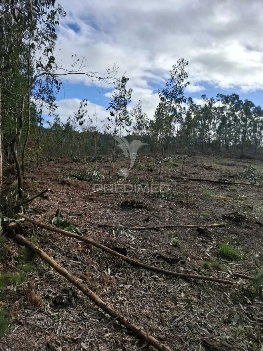 Terreno para Venda em Pedroso e Seixezelo Foto 6
