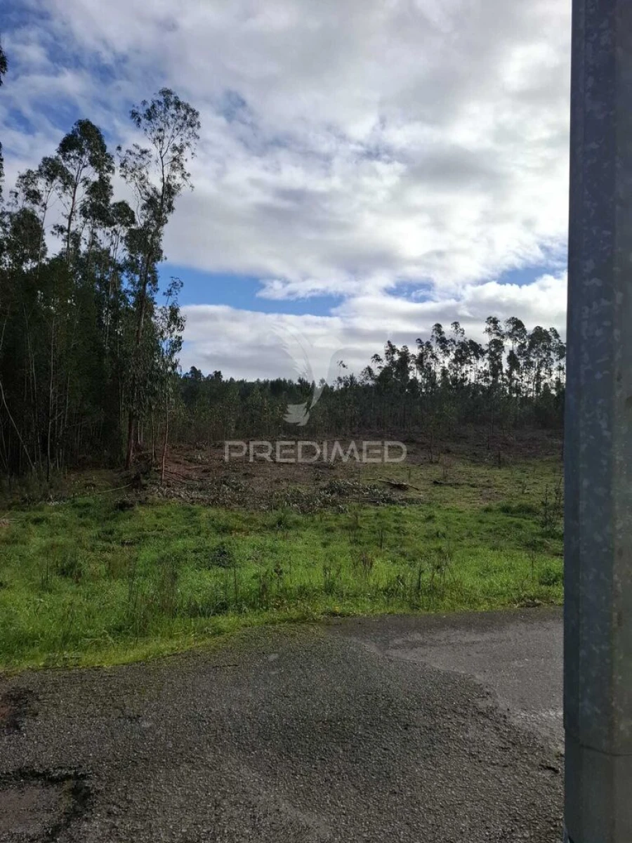 Terreno para Venda em Pedroso e Seixezelo Foto 19