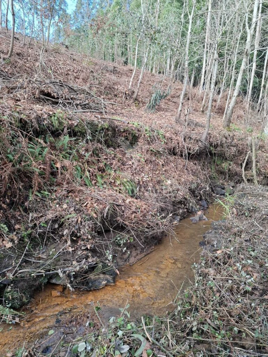 Terreno para Venda em Pedroso e Seixezelo Foto 2