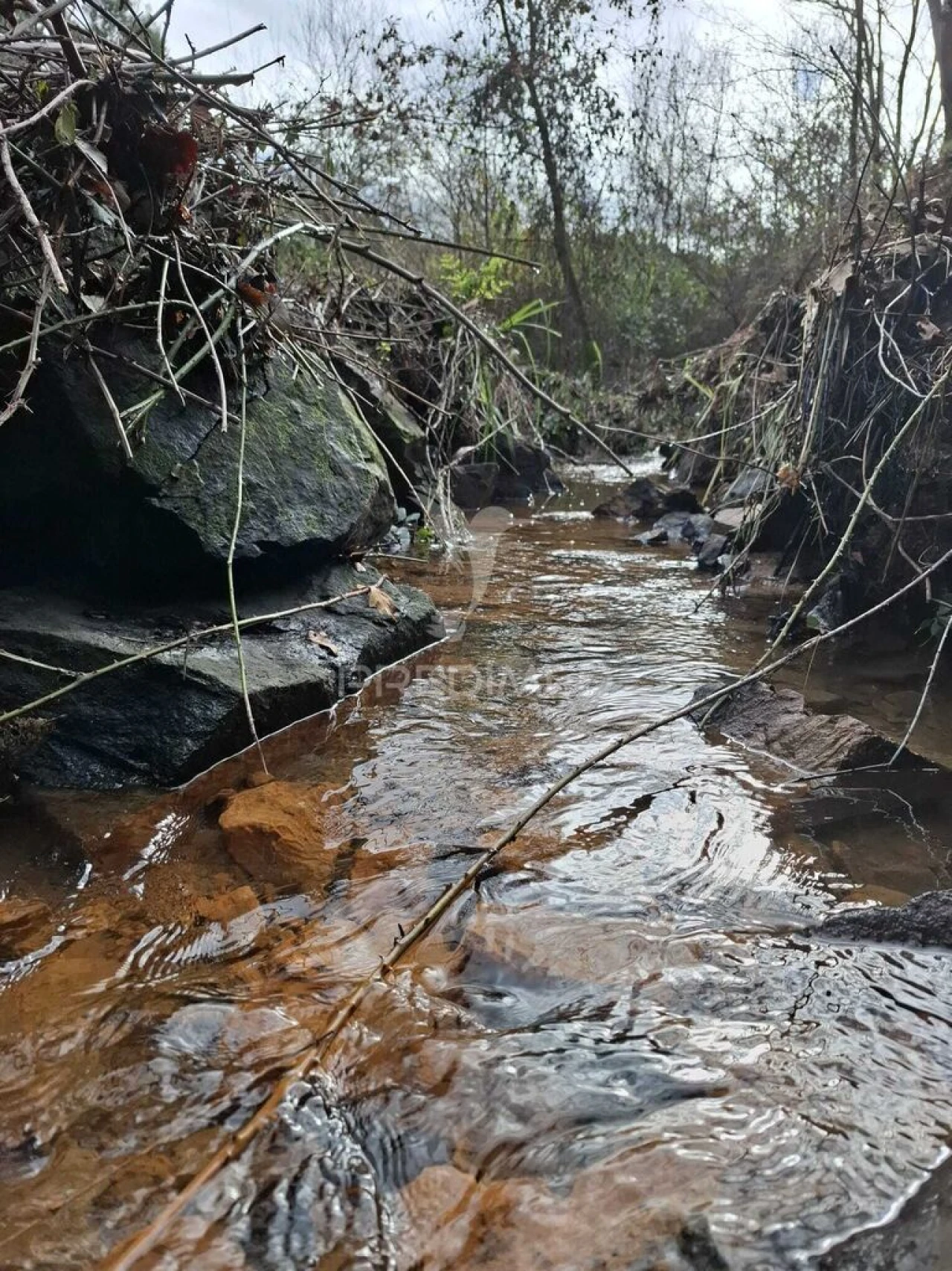 Terreno para Venda em Pedroso e Seixezelo Foto 5