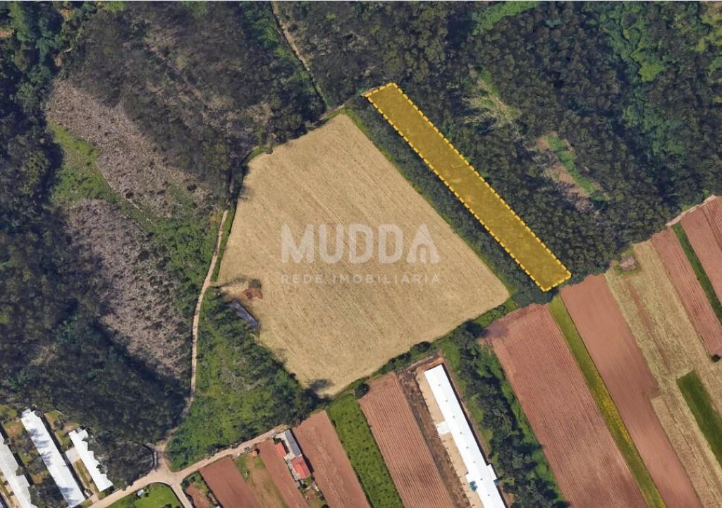 Terreno para Venda em Ovar, São João, Arada e São Vicente de Pereira Jusã Foto 1