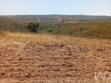 Terreno para Venda em Santa Cruz