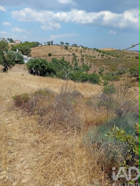 Terreno para Venda em Santa Cruz