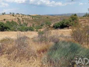 Terreno para Venda em Santa Cruz