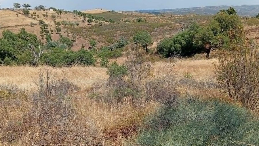 Terreno para Venda em Santa Cruz