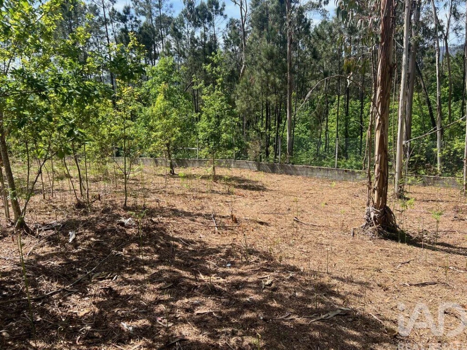 Terreno para Venda em Santa Cruz da Trapa e São Cristóvão de Lafões Foto 10