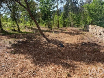 Terreno para Venda em Santa Cruz da Trapa e São Cristóvão de Lafões