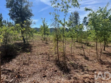 Terreno para Venda em Santa Cruz da Trapa e São Cristóvão de Lafões