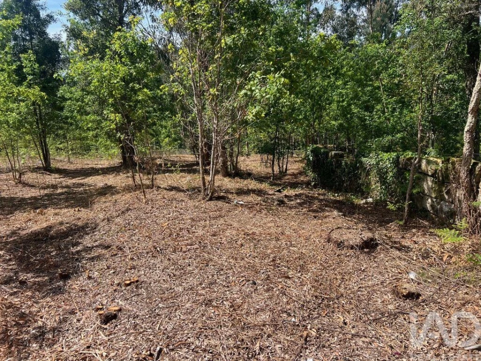 Terreno para Venda em Santa Cruz da Trapa e São Cristóvão de Lafões Foto 7