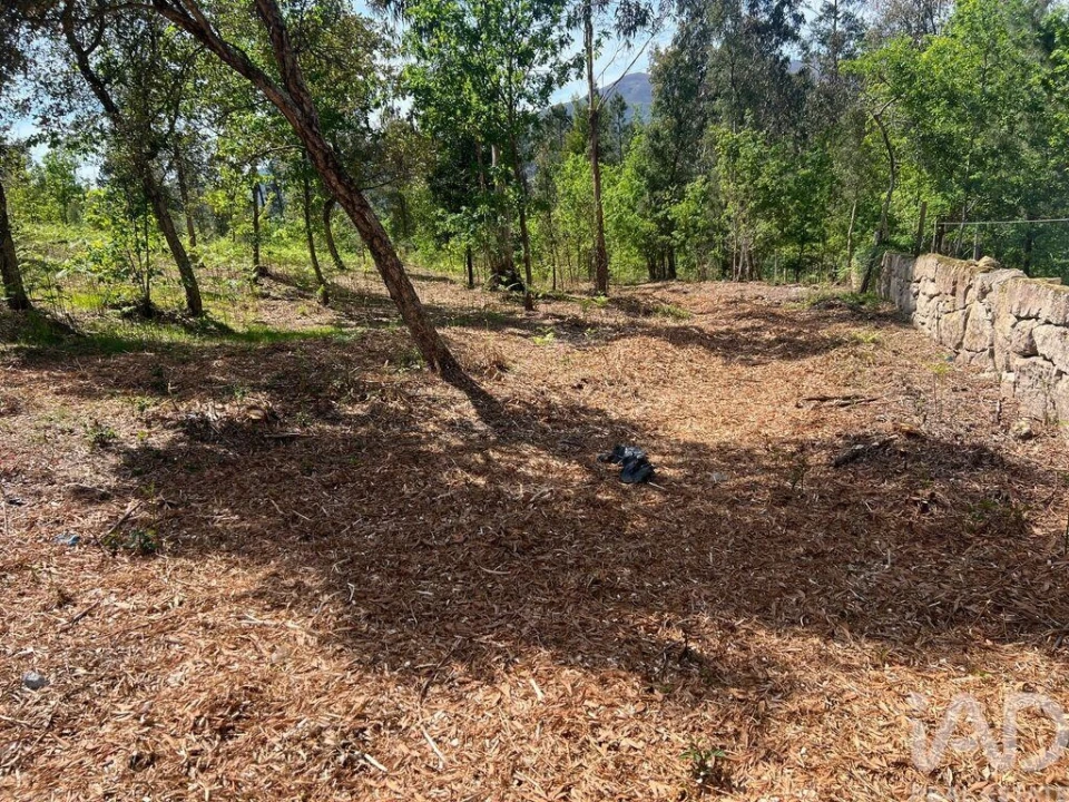 Terreno para Venda em Santa Cruz da Trapa e São Cristóvão de Lafões Foto 8
