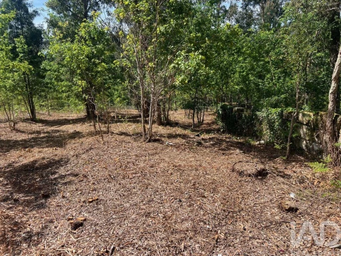 Terreno para Venda em Santa Cruz da Trapa e São Cristóvão de Lafões Foto 7