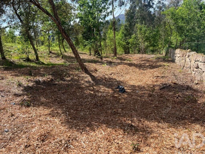 Terreno para Venda em Santa Cruz da Trapa e São Cristóvão de Lafões Foto 8