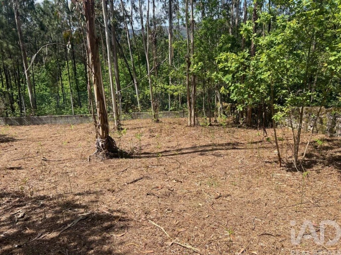 Terreno para Venda em Santa Cruz da Trapa e São Cristóvão de Lafões Foto 9