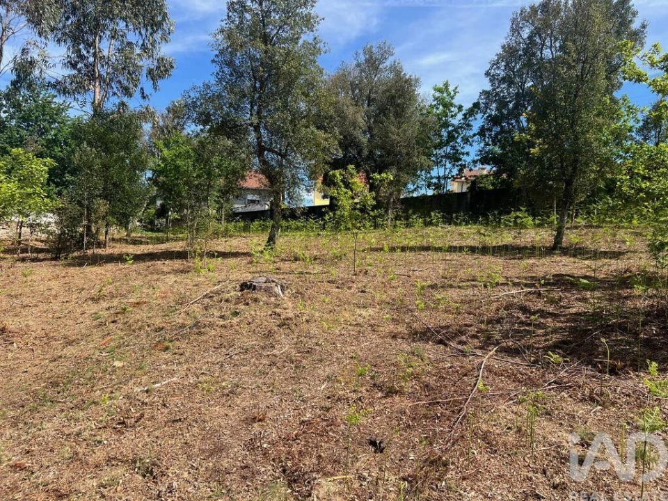 Terreno para Venda em Santa Cruz da Trapa e São Cristóvão de Lafões Foto 6