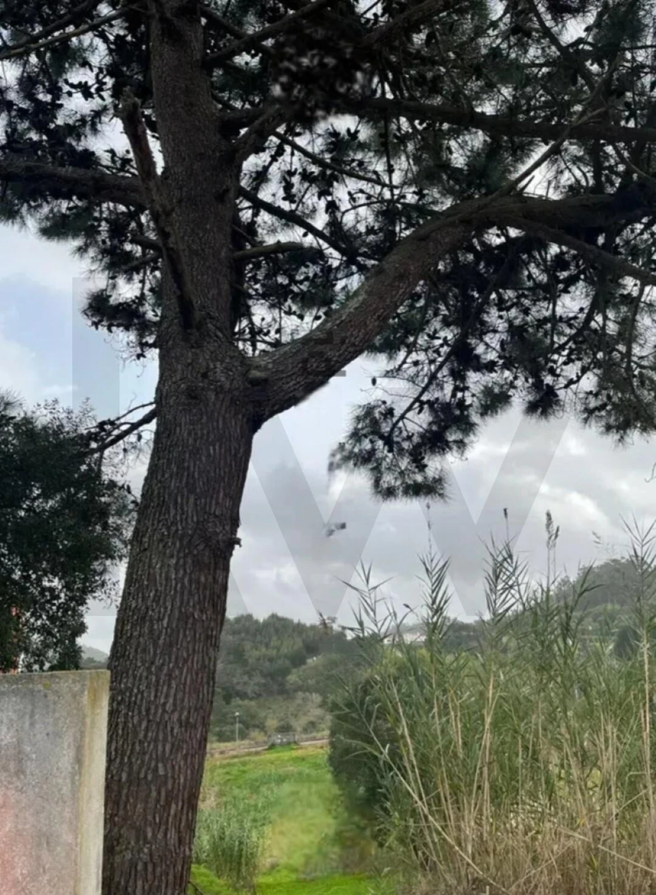 Terreno para Venda em Enxara do Bispo, Gradil e Vila Franca do Rosário Foto 6