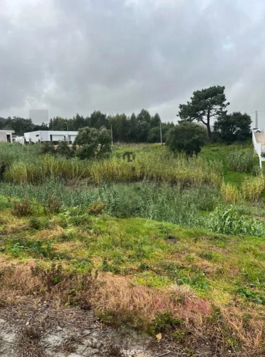 Terreno para Venda em Enxara do Bispo, Gradil e Vila Franca do Rosário Foto 2