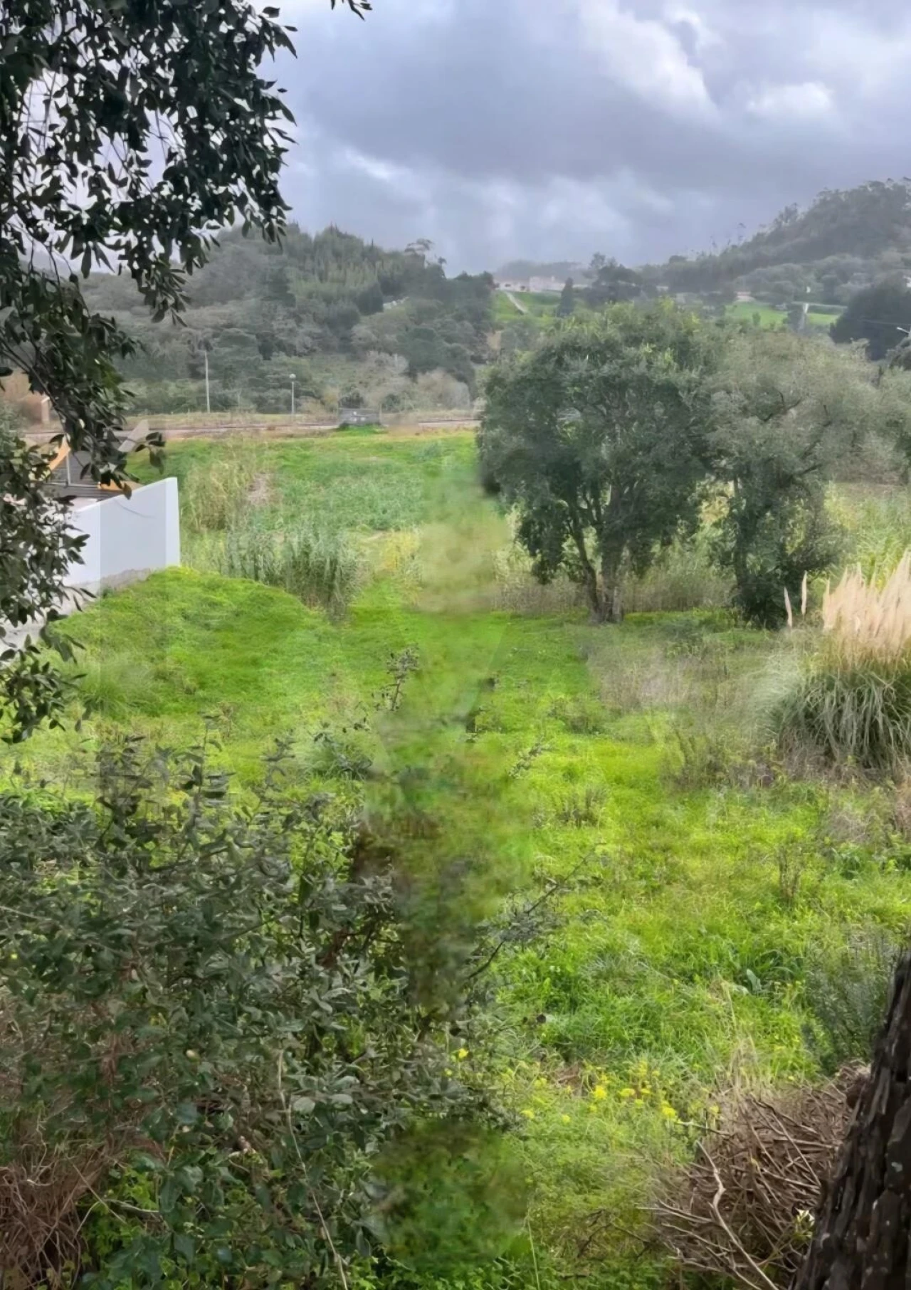 Terreno para Venda em Enxara do Bispo, Gradil e Vila Franca do Rosário Foto 13