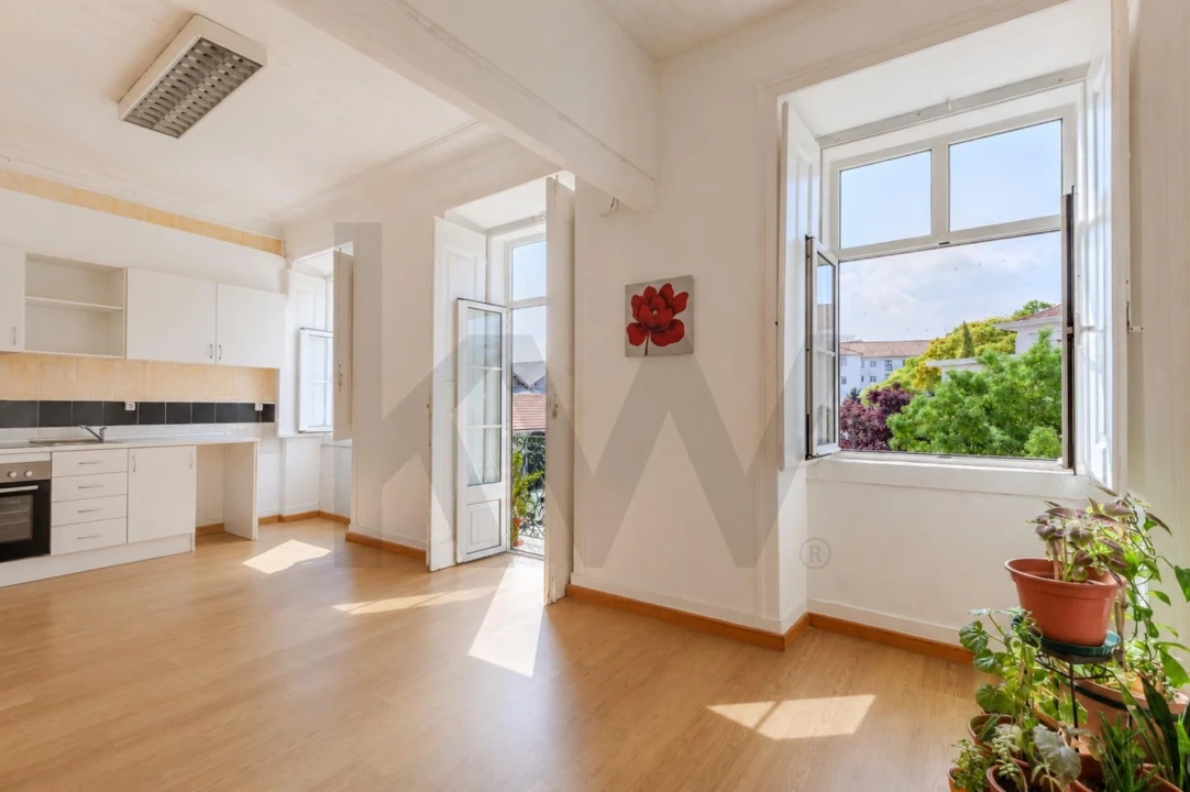 Prédio para Venda em Romeira e Várzea Foto 4