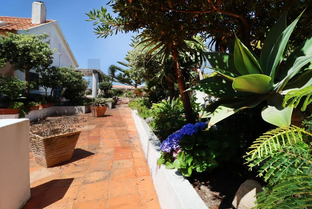 Apartamento T1 para Arrendamento em Colares Foto 24