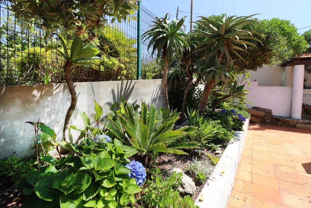 Apartamento T1 para Arrendamento em Colares Foto 23