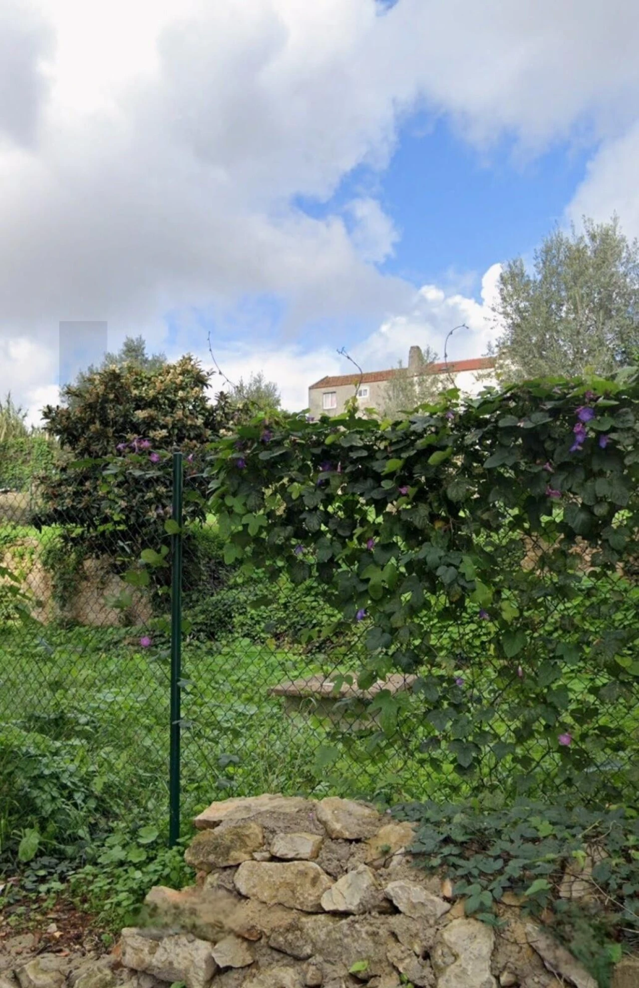 Moradia T2 para Venda em Agualva e Mira-Sintra Foto 6