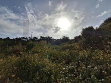 Moradia para Venda em Freiria