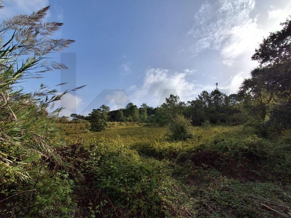 Moradia para Venda em Freiria Foto 10