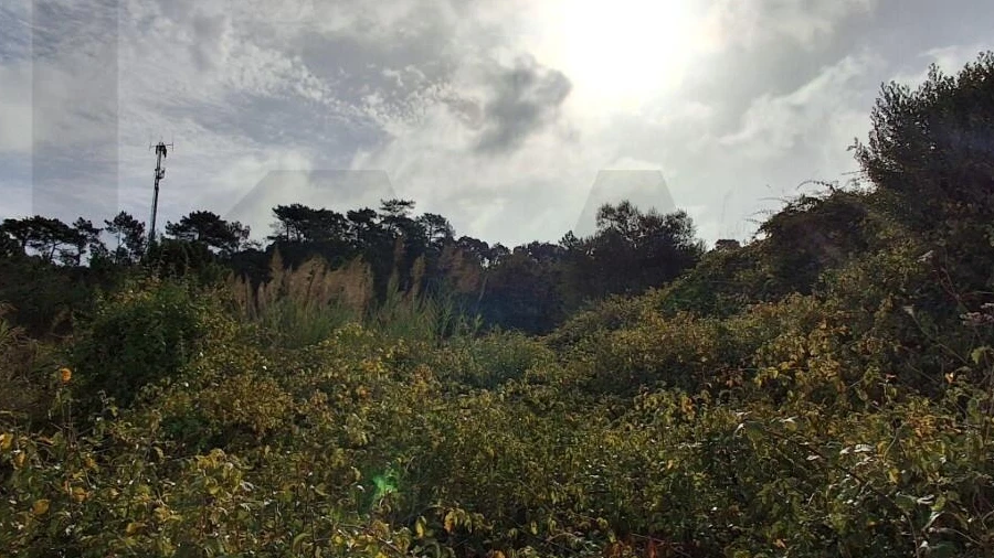 Moradia para Venda em Freiria