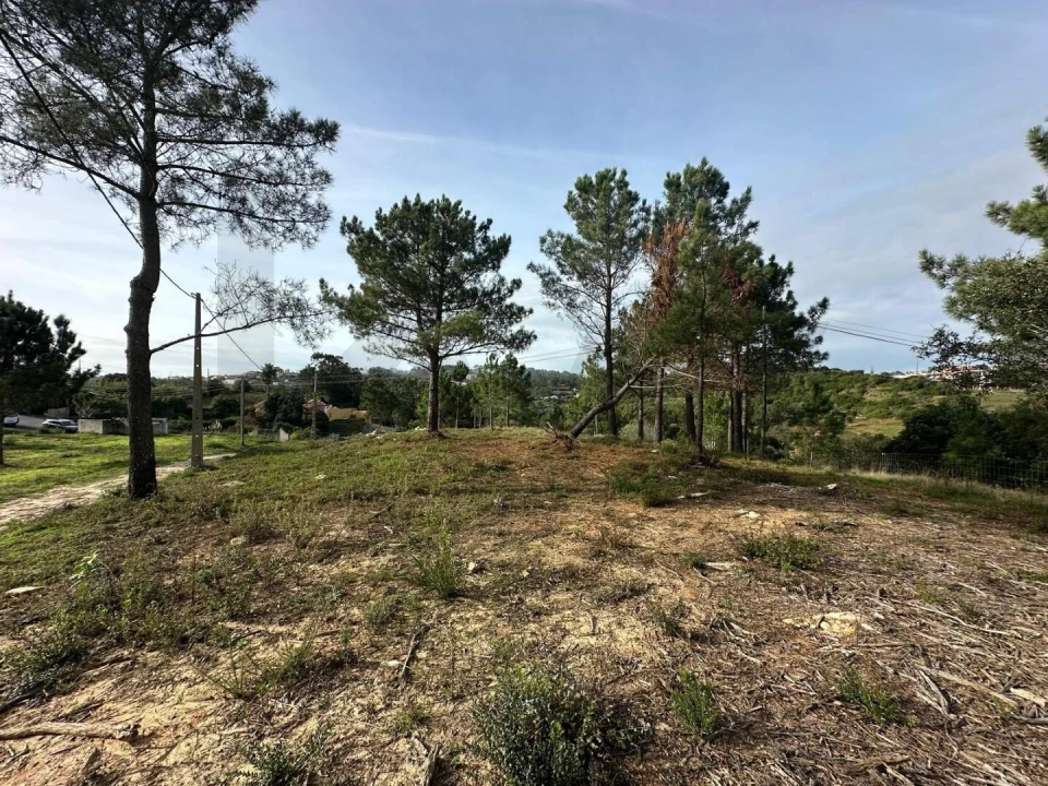 Terreno para Venda em Mafra Foto 11