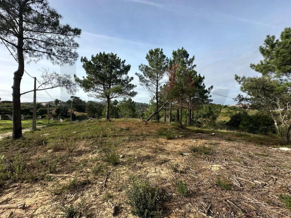 Terreno para Venda em Mafra Foto 14