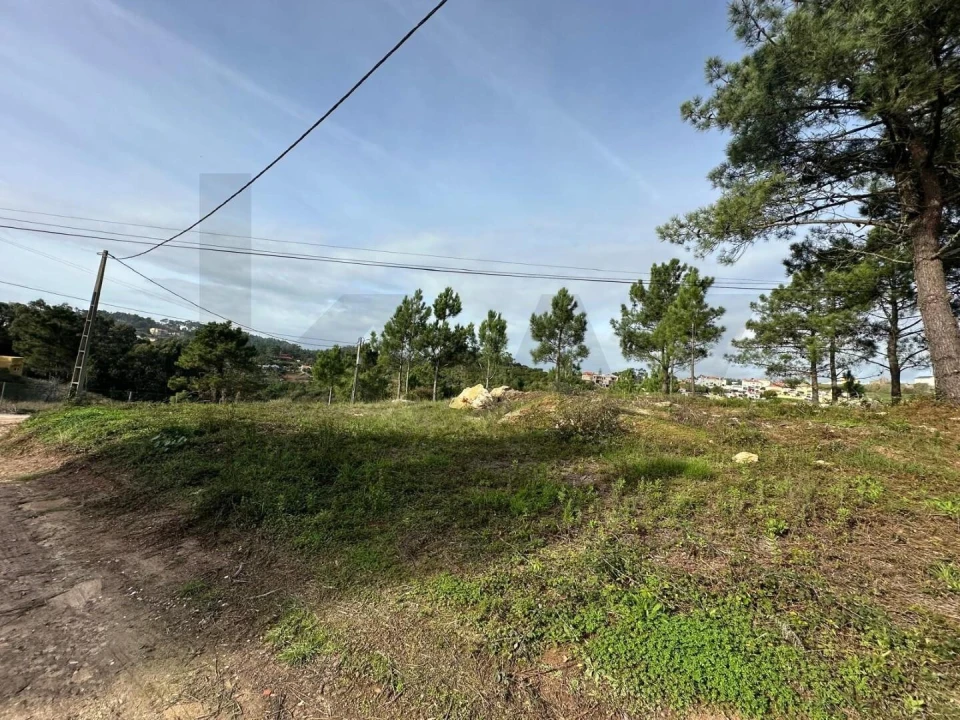 Terreno para Venda em Mafra Foto 8