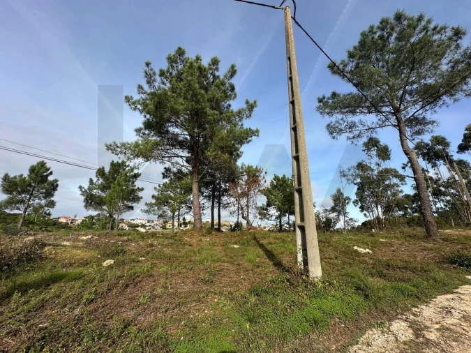 Terreno para Venda em Mafra Foto 10