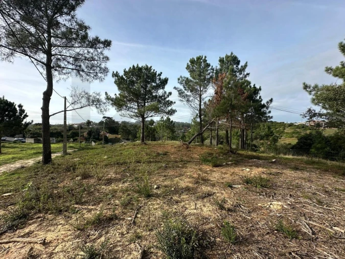 Terreno para Venda em Mafra Foto 11