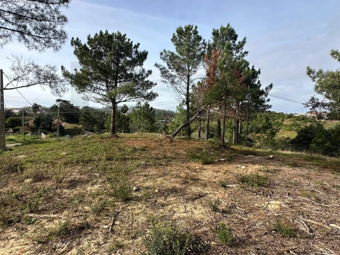 Terreno para Venda em Mafra Foto 4