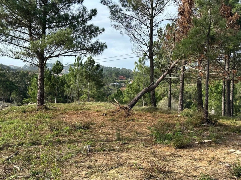 Terreno para Venda em Mafra Foto 2