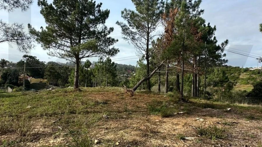 Terreno para Venda em Mafra