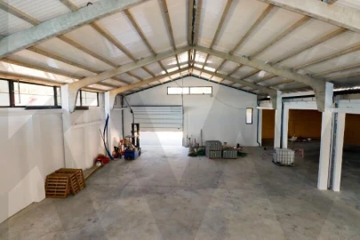 Armazém para Venda em Escapães