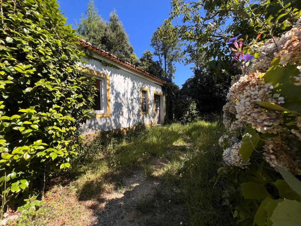 Moradia T5 para Venda em São João das Lampas e Terrugem Foto 7