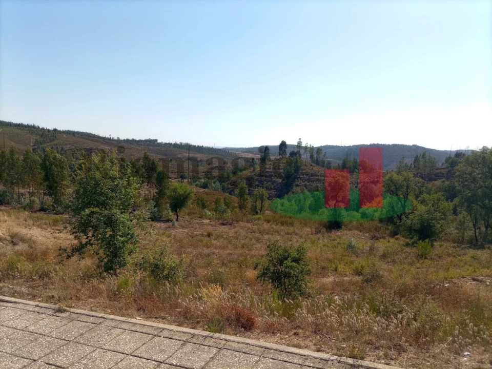 Terreno para Venda em Mação, Penhascoso e Aboboreira Foto 1