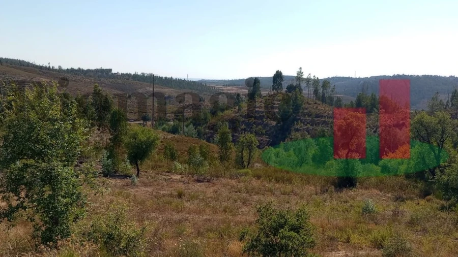 Terreno para Venda em Mação, Penhascoso e Aboboreira