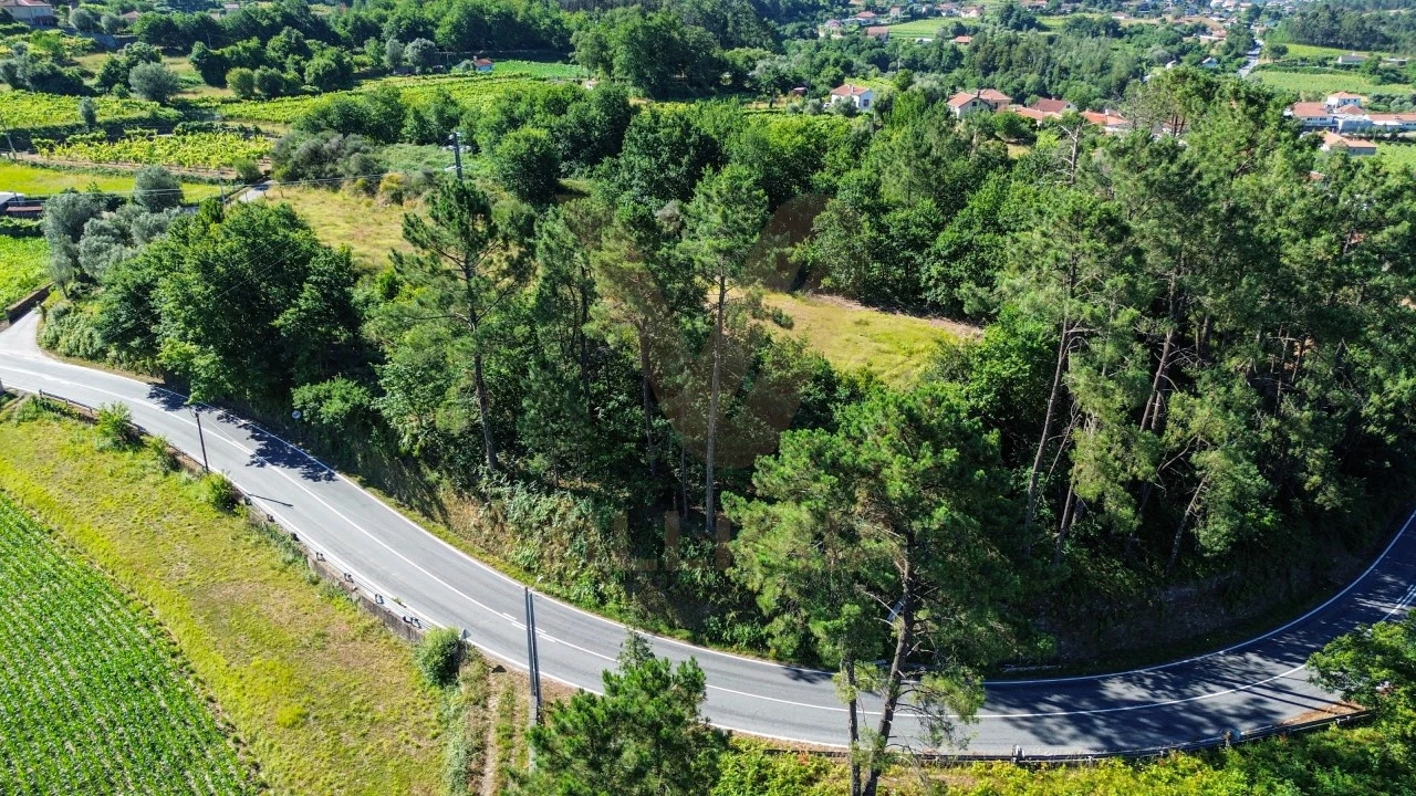 Terreno para Venda em Bárrio e Cepões Foto 4
