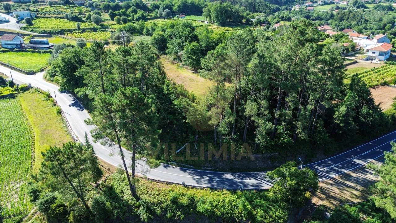 Terreno para Venda em Bárrio e Cepões Foto 5