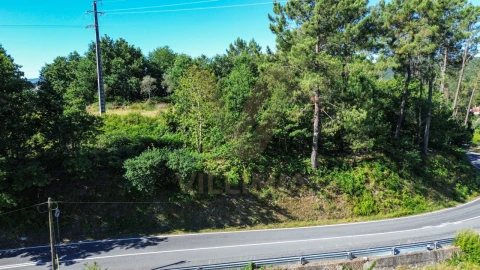 Terreno para Venda em Bárrio e Cepões