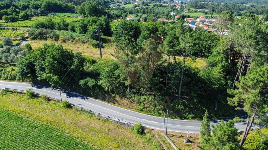 Terreno para Venda em Bárrio e Cepões Foto 3